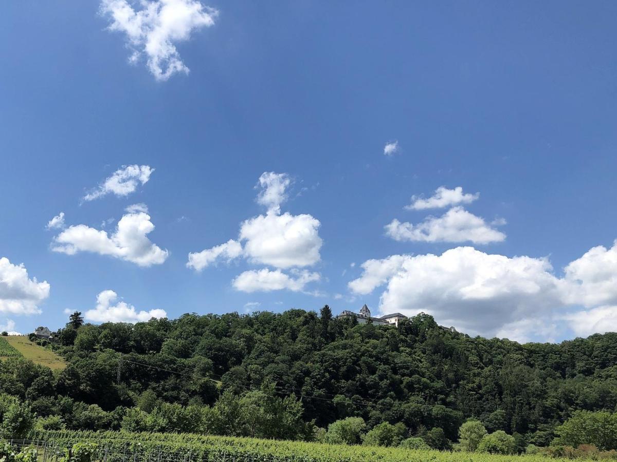 Ferienhaus Moselpromenade Zell an der Mosel Exteriör bild